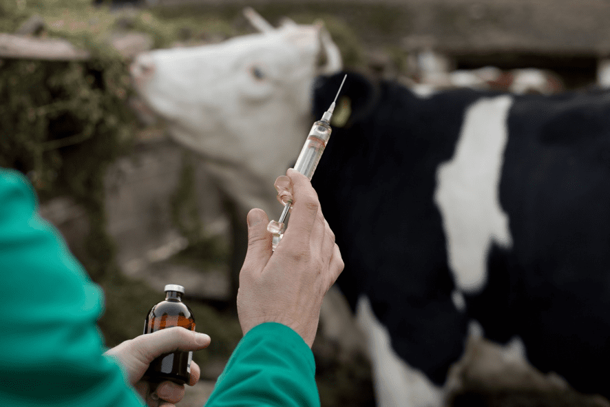 FILTRAÇÃO DE MEDICAMENTOS INJETÁVEIS VETERINÁRIOS